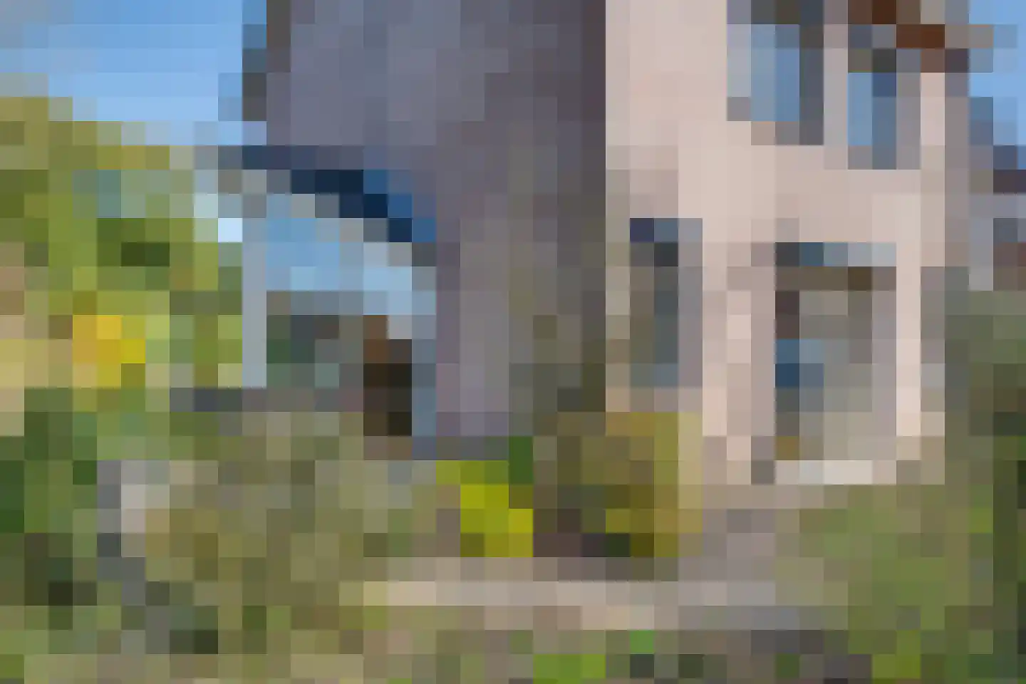 Diekgraven 2 Neede thumbnail 25