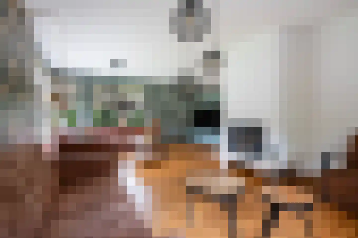 Diekink 18 Markelo thumbnail 16
