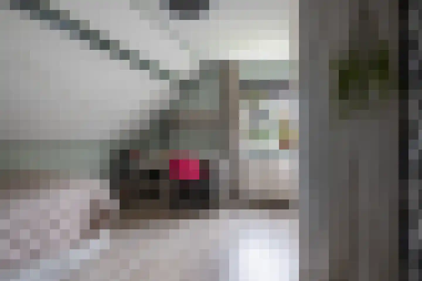 Diekink 18 Markelo thumbnail 25