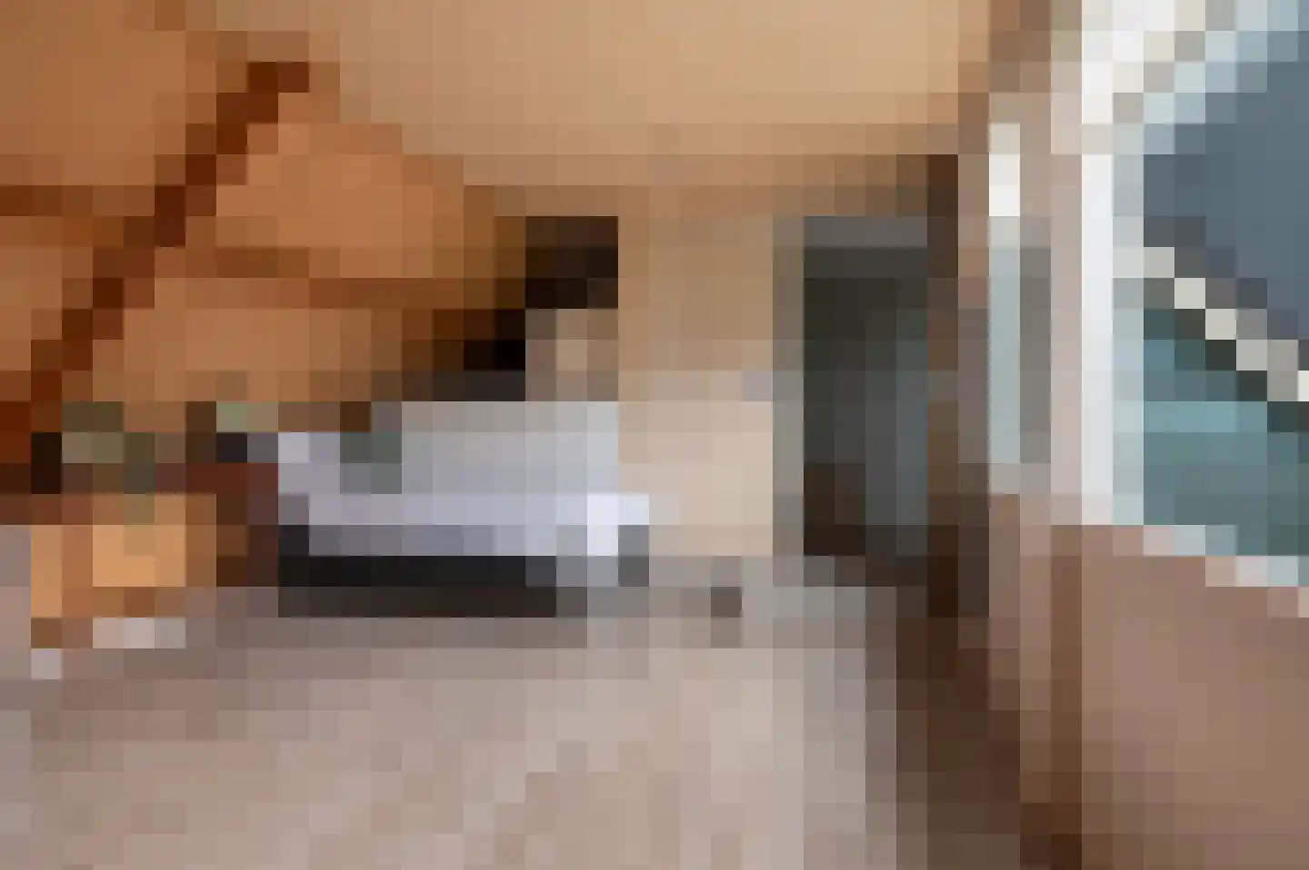 Diekink 18 Markelo thumbnail 28