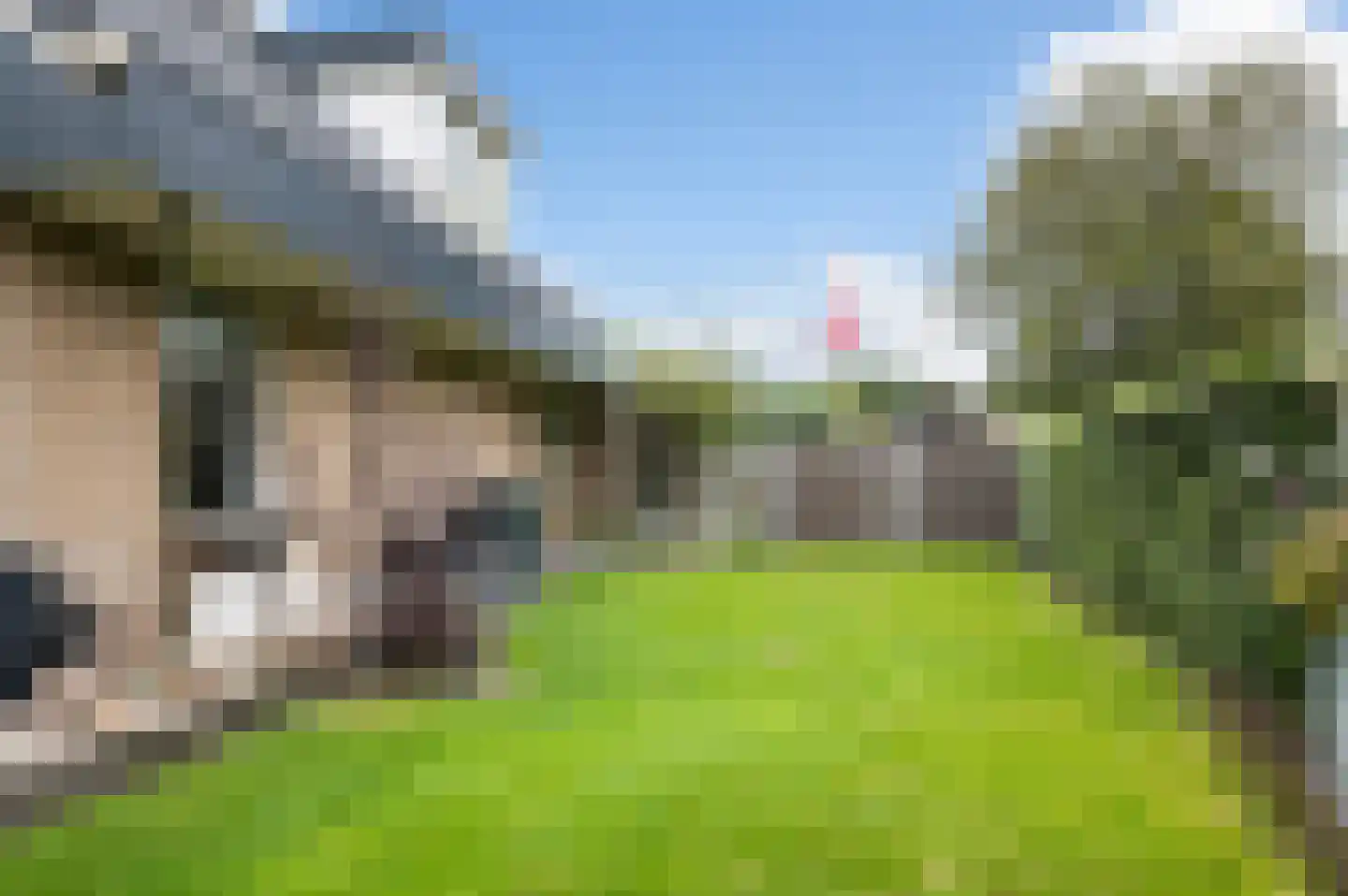 Diekink 18 Markelo thumbnail 4
