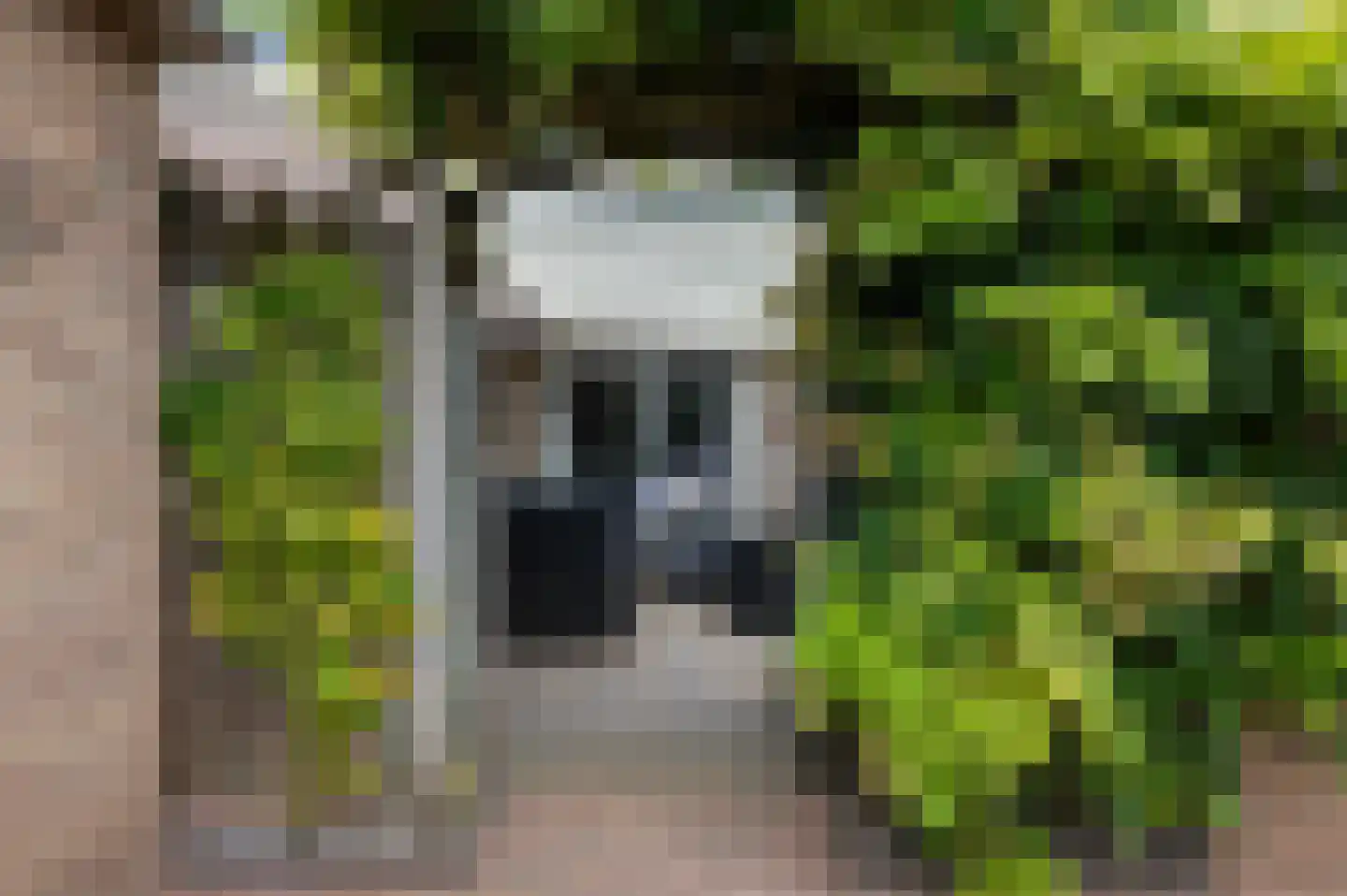 Diekink 18 Markelo thumbnail 7