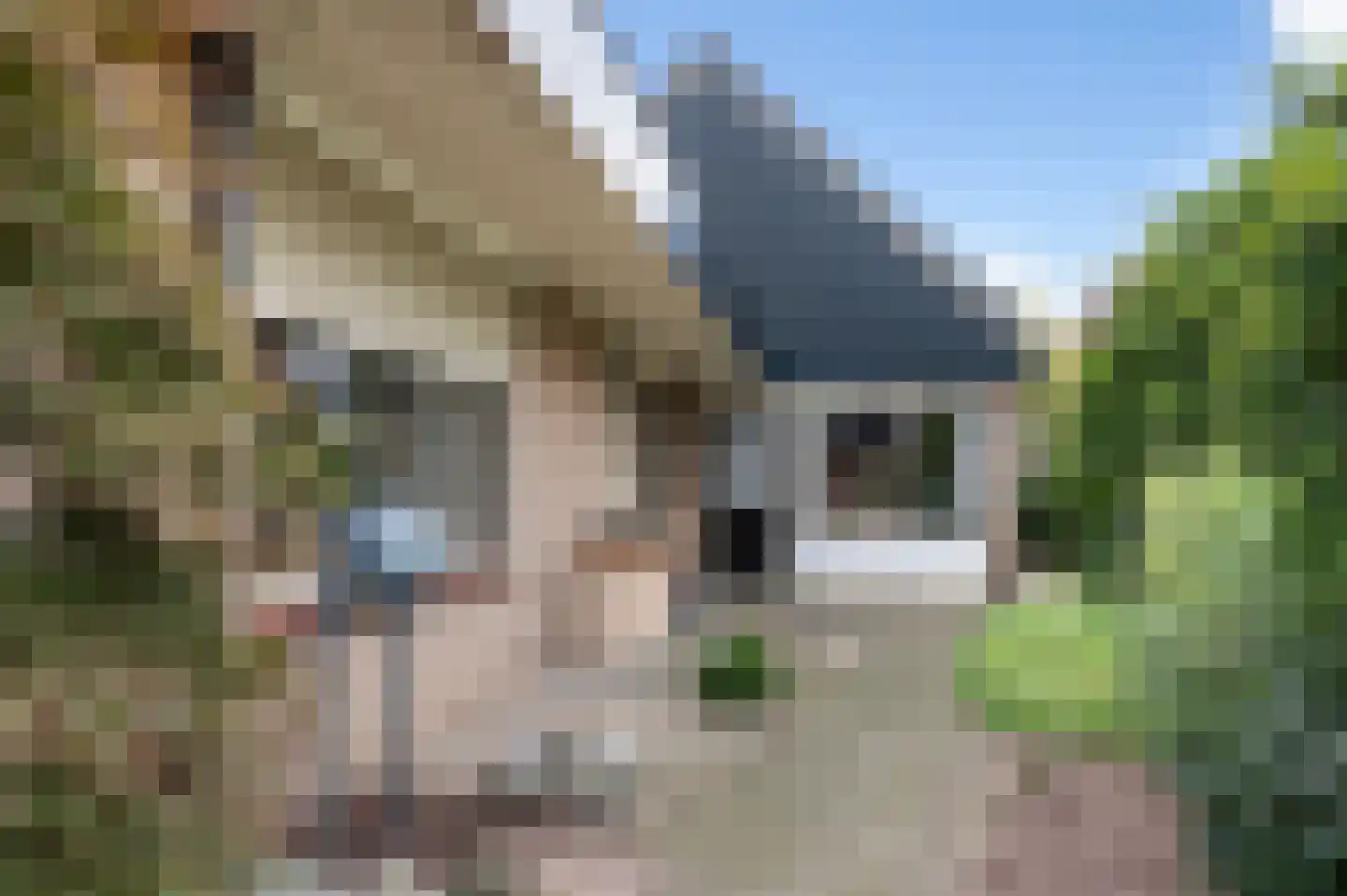 Diekink 18 Markelo thumbnail 8