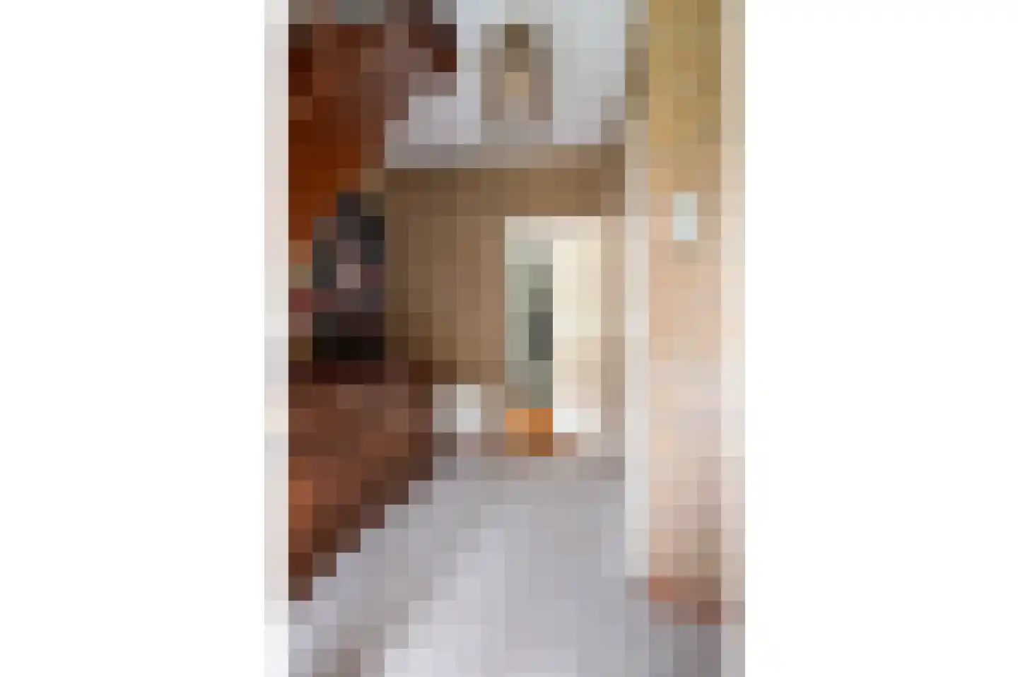 Diekink 18 Markelo thumbnail 9