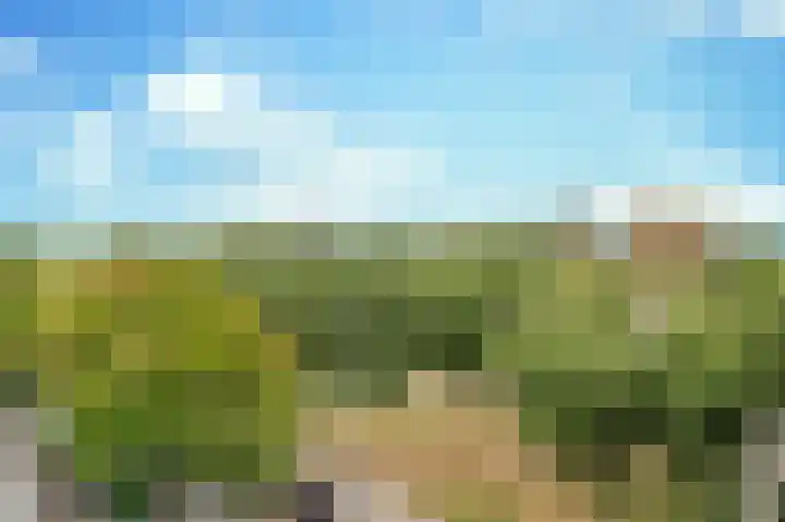 Diekirchlaan 123 Eindhoven thumbnail 37