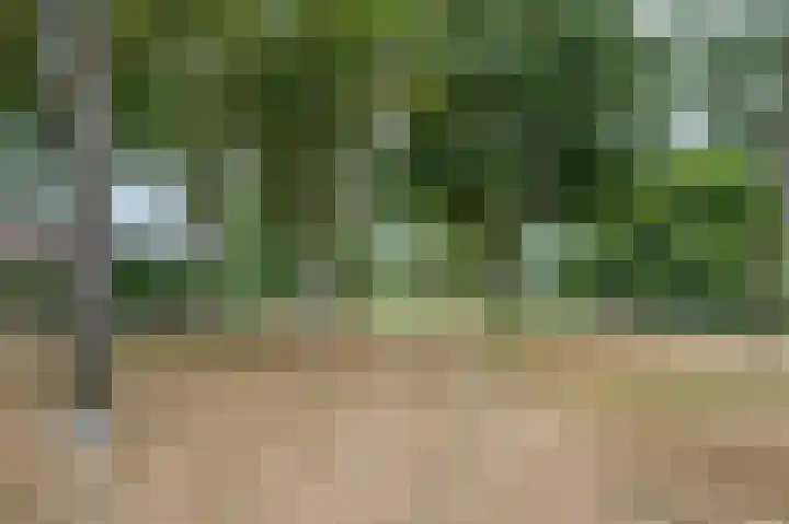 Diekirchlaan 123 Eindhoven thumbnail 38