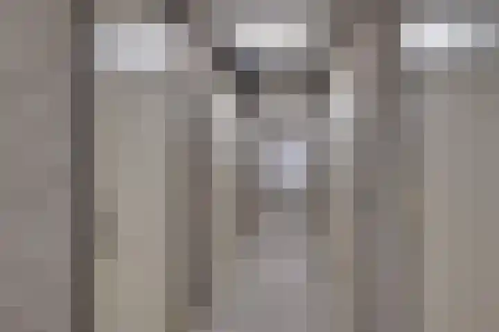 Diekirchlaan 123 Eindhoven thumbnail 41