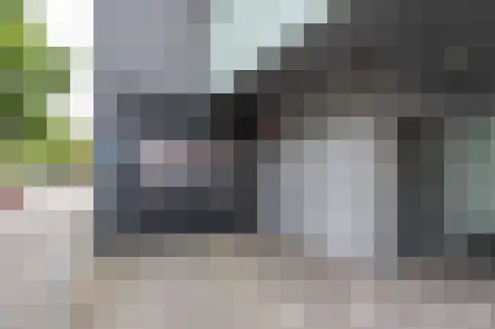 Diekirchlaan 123 Eindhoven thumbnail 42