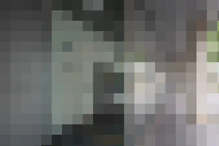 Diekirchlaan 123 Eindhoven thumbnail 6