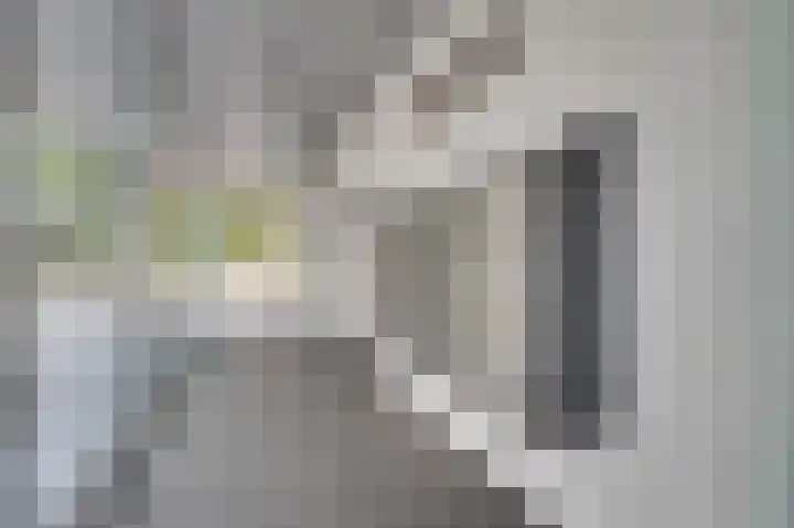 Diekirchlaan 123 Eindhoven thumbnail 7