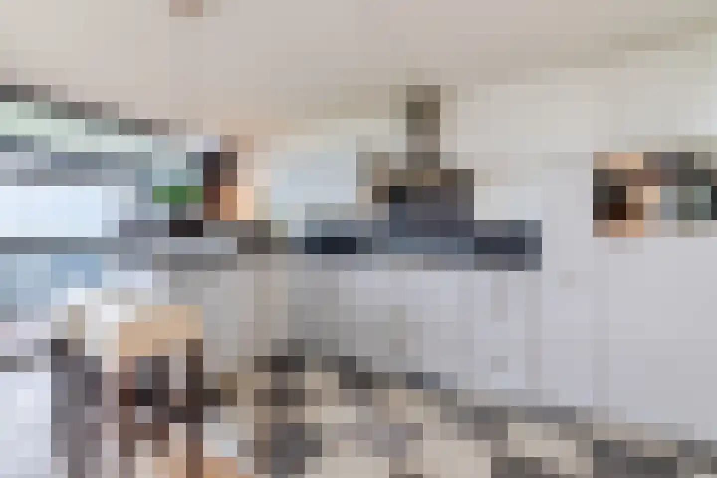 Diekirchlaan 141 Eindhoven thumbnail 18