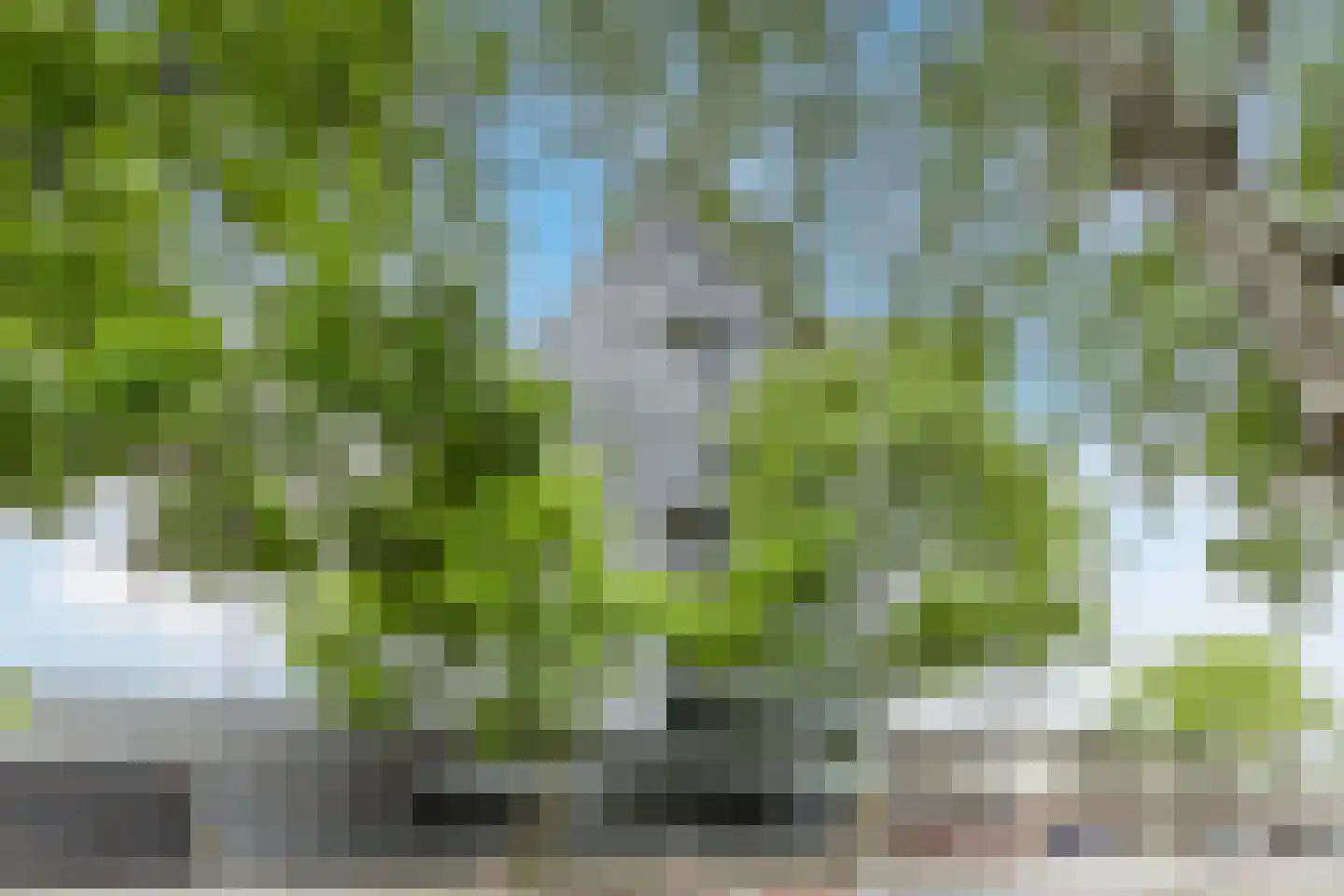 Diekirchlaan 141 Eindhoven thumbnail 30
