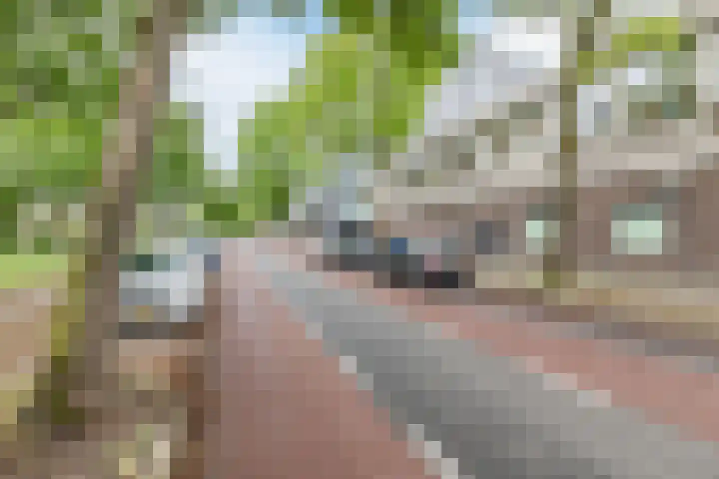Diekirchlaan 141 Eindhoven thumbnail 33
