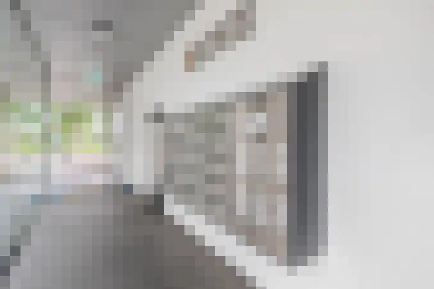 Diekirchlaan 141 Eindhoven thumbnail 4