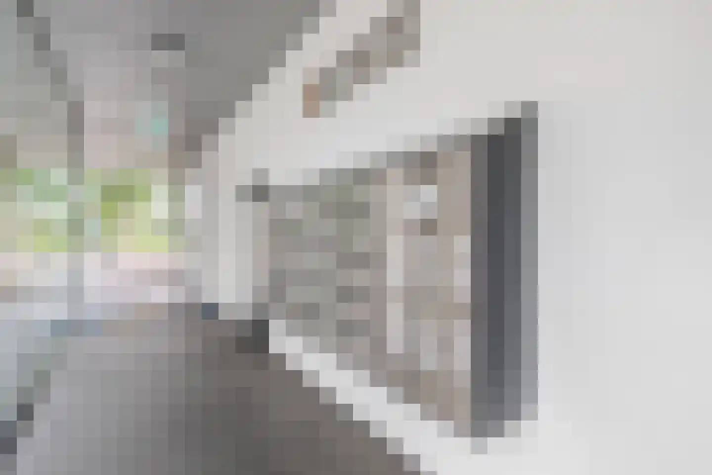 Diekirchlaan 141 Eindhoven thumbnail 5