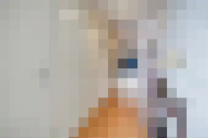Diekirchlaan 161 Eindhoven thumbnail 10