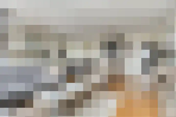 Diekirchlaan 161 Eindhoven thumbnail 12