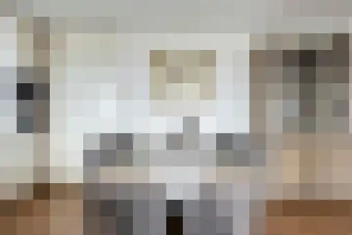 Diekirchlaan 161 Eindhoven thumbnail 14
