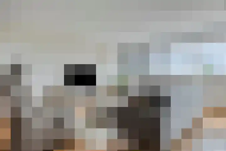 Diekirchlaan 161 Eindhoven thumbnail 15