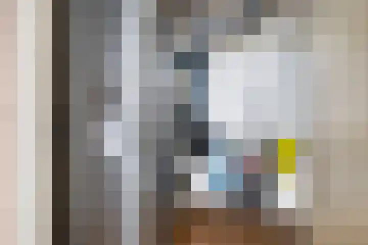 Diekirchlaan 161 Eindhoven thumbnail 18