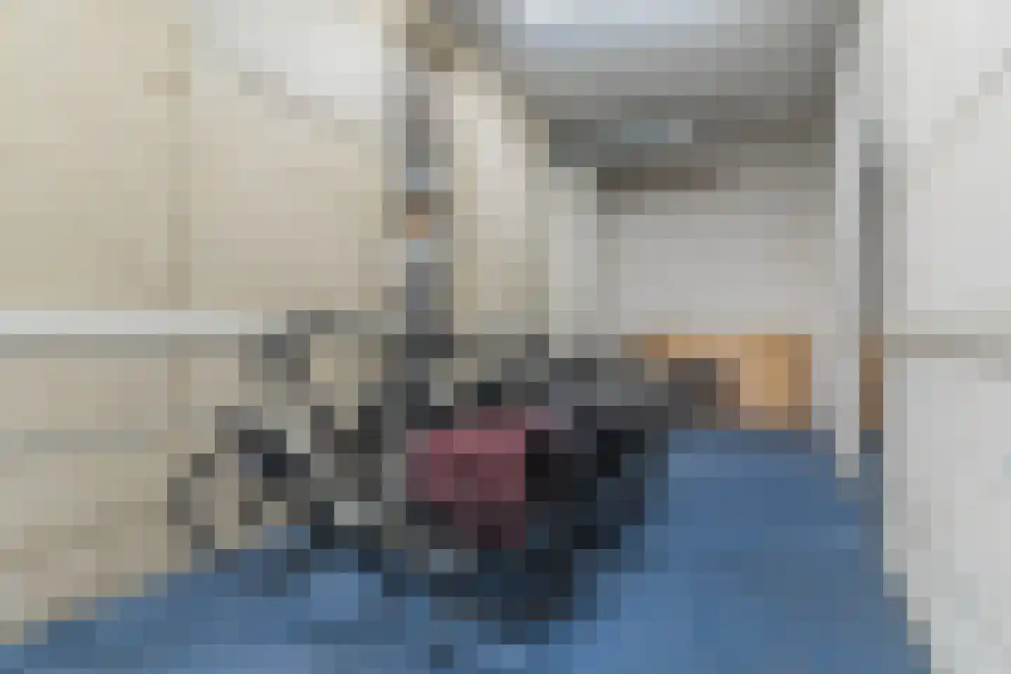 Diekirchlaan 167 Eindhoven thumbnail 35