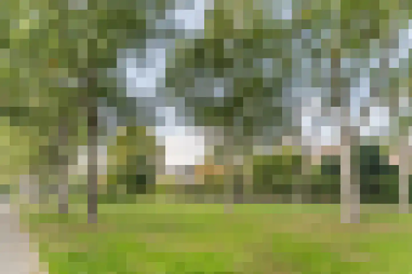 Diekirchlaan 167 Eindhoven thumbnail 38