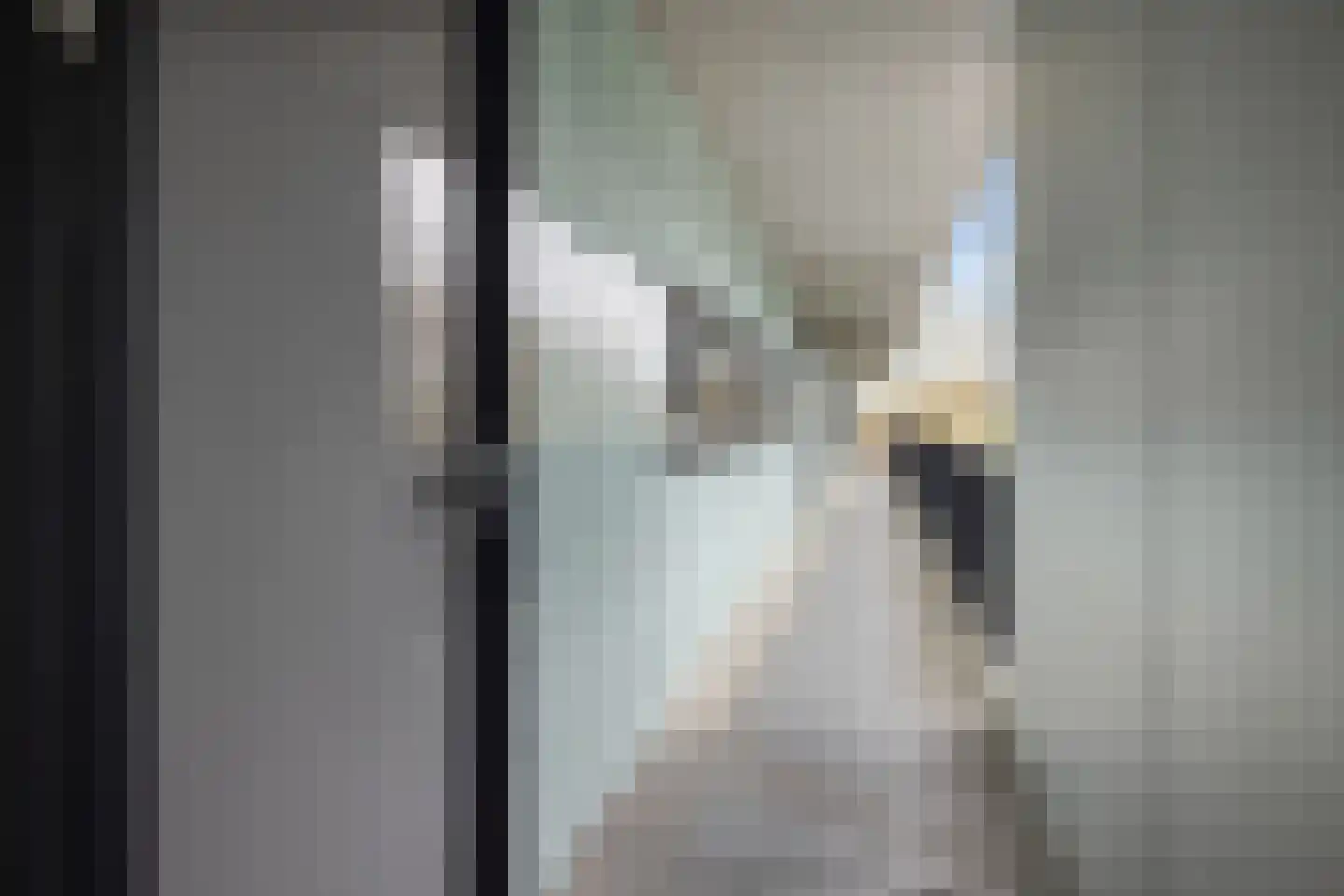 Diekirchlaan 43 Eindhoven thumbnail 12