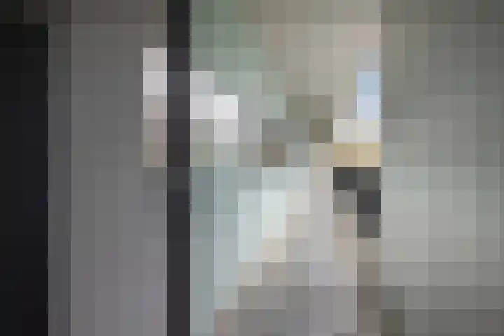 Diekirchlaan 43 Eindhoven thumbnail 12
