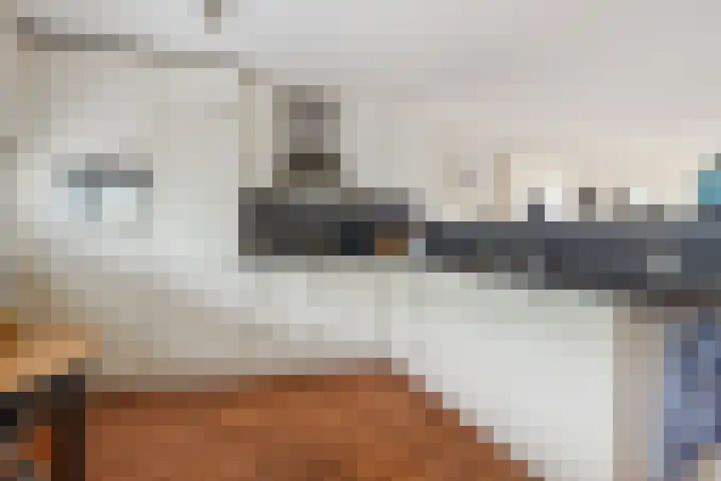 Diekirchlaan 43 Eindhoven thumbnail 23