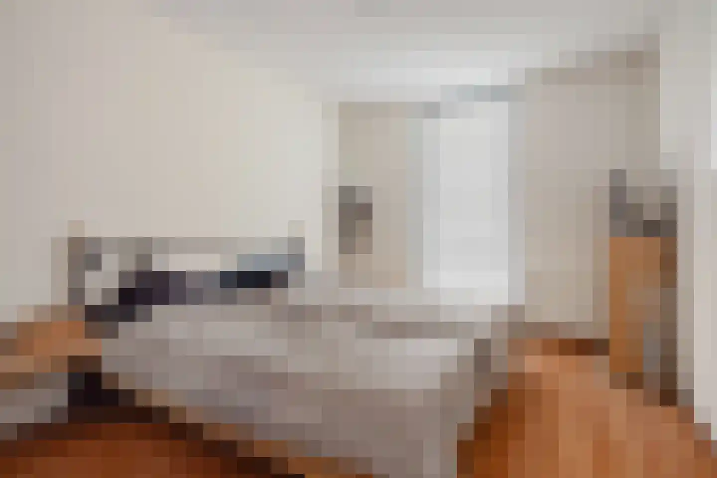 Diekirchlaan 43 Eindhoven thumbnail 25