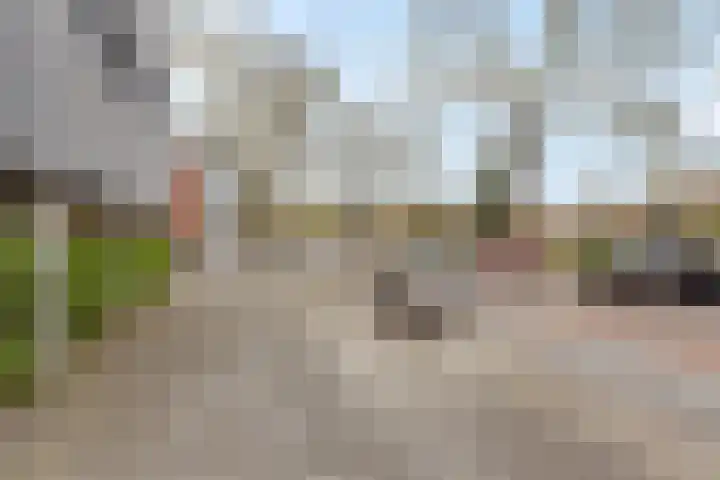 Diekirchlaan 43 Eindhoven thumbnail 33