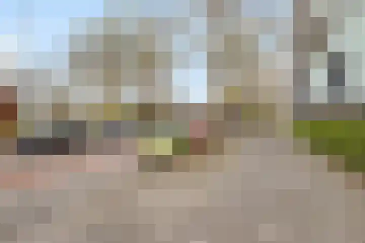 Diekirchlaan 43 Eindhoven thumbnail 34