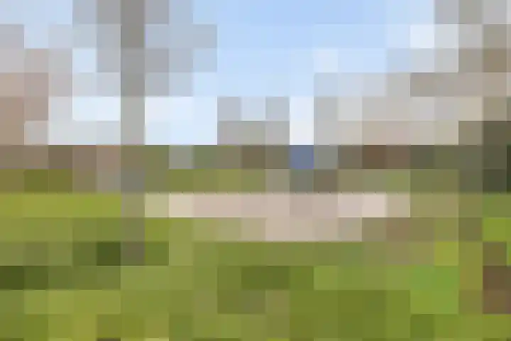 Diekirchlaan 43 Eindhoven thumbnail 35
