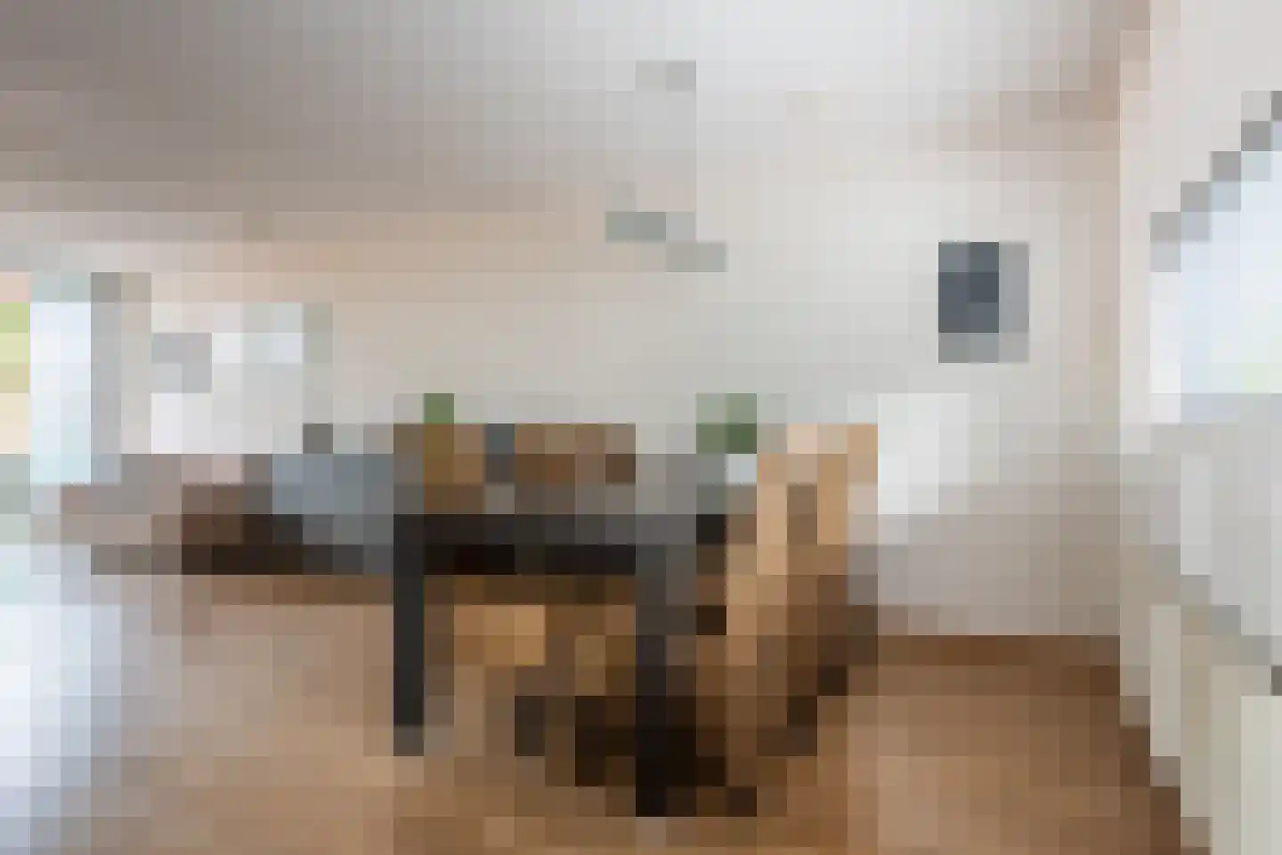 Diekirchlaan 45 Eindhoven thumbnail 26
