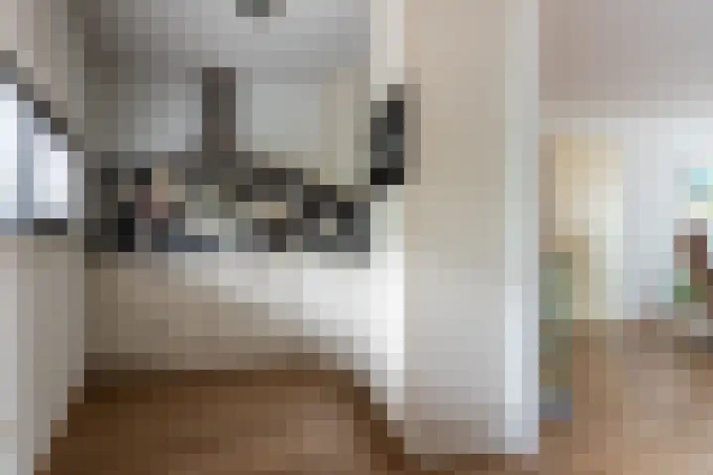Diekirchlaan 45 Eindhoven thumbnail 27