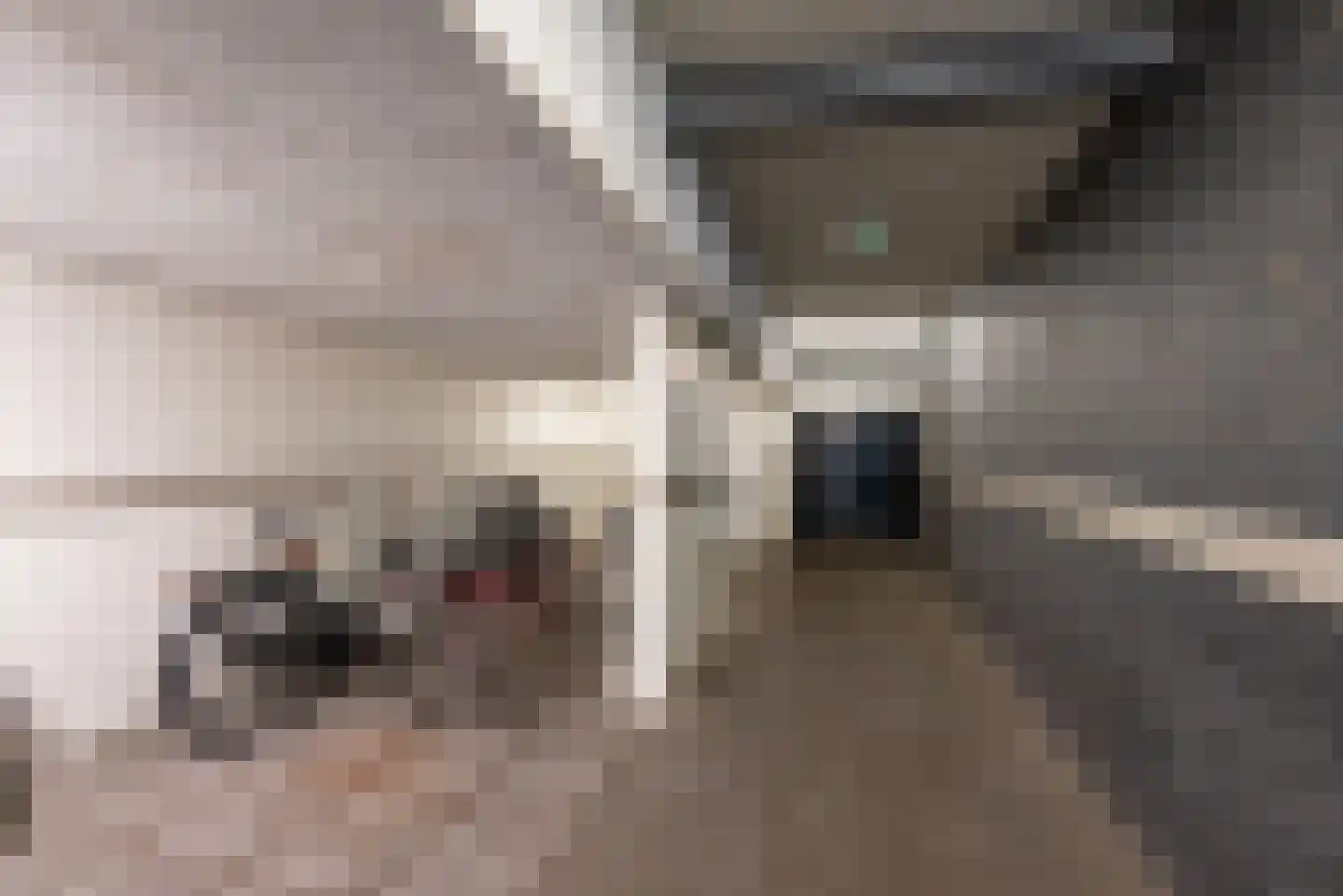 Diekirchlaan 45 Eindhoven thumbnail 44