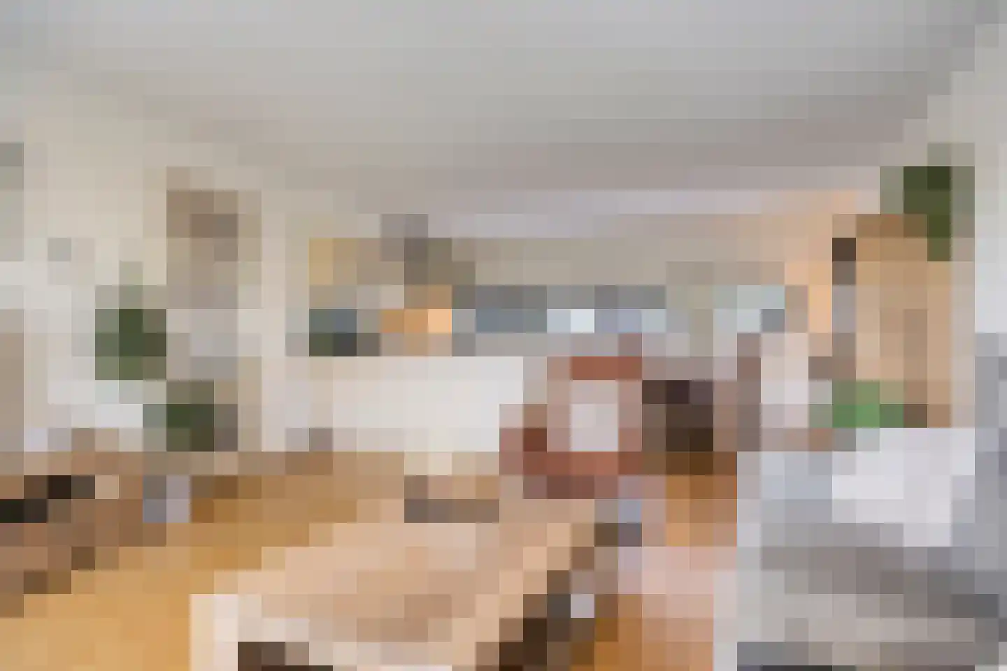 Diekirchlaan 51 Eindhoven thumbnail 13