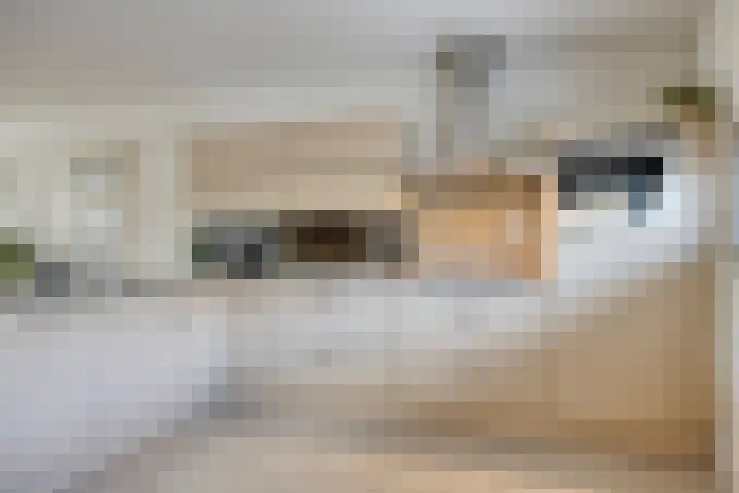 Diekirchlaan 51 Eindhoven thumbnail 17
