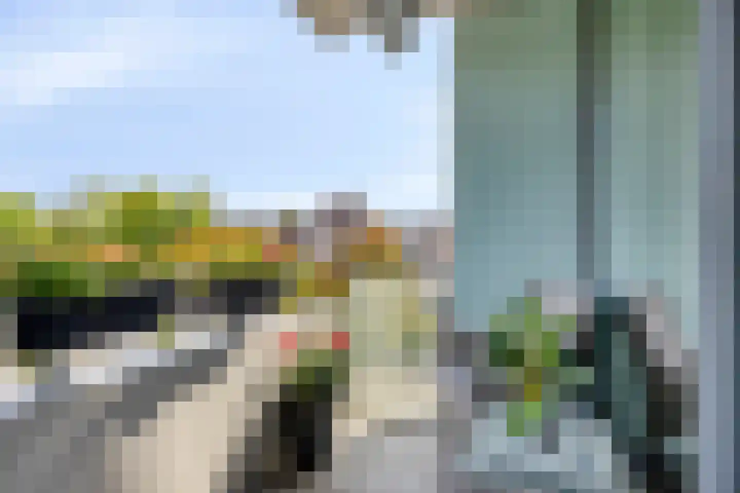 Diekirchlaan 51 Eindhoven thumbnail 19