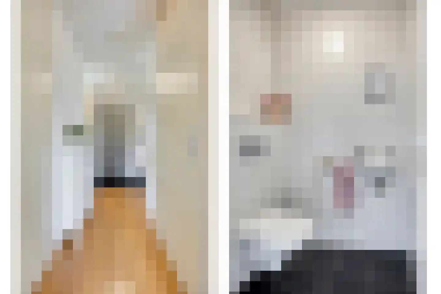 Diekirchlaan 51 Eindhoven thumbnail 7