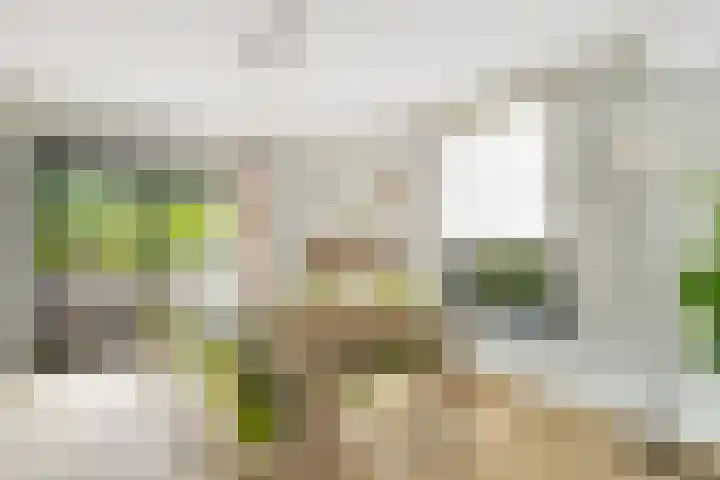 Diekjansweg 120 Rijssen thumbnail 10