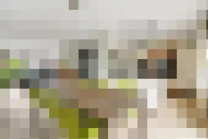 Diekjansweg 120 Rijssen thumbnail 11