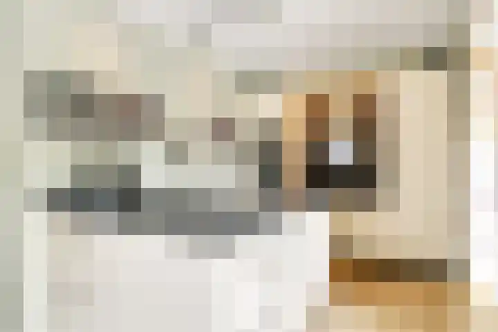 Diekjansweg 120 Rijssen thumbnail 12