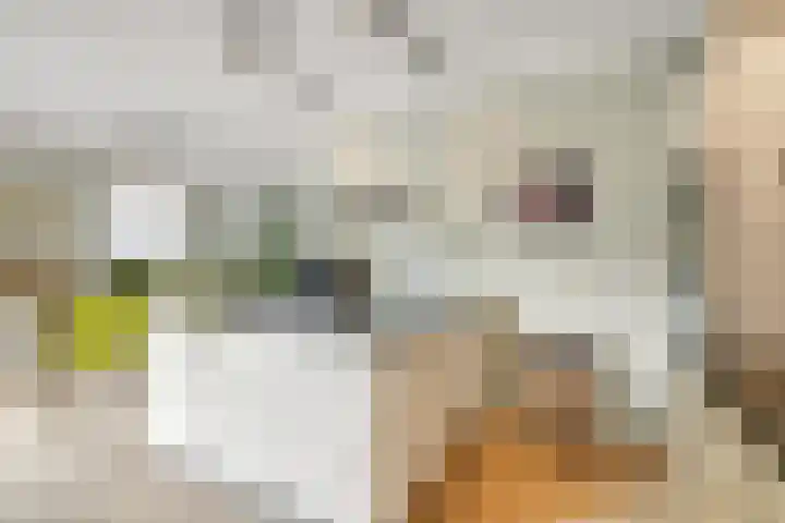 Diekjansweg 120 Rijssen thumbnail 13