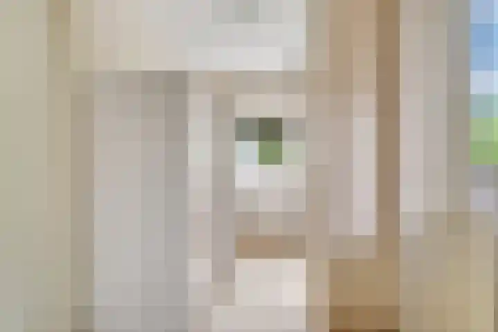 Diekjansweg 120 Rijssen thumbnail 14