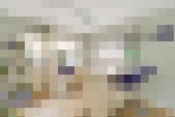 Diekjansweg 120 Rijssen thumbnail 16