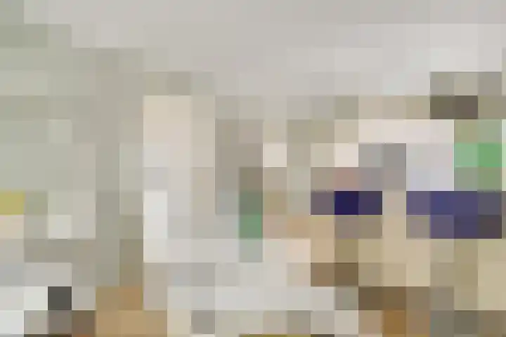Diekjansweg 120 Rijssen thumbnail 17