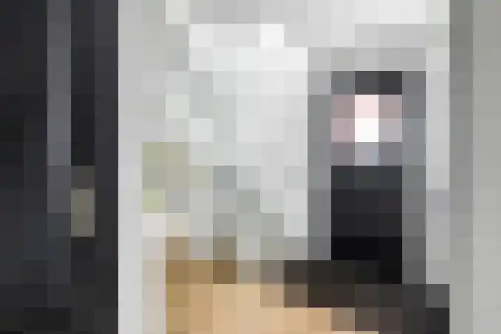 Diekjansweg 120 Rijssen thumbnail 18