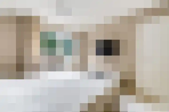 Diekjansweg 120 Rijssen thumbnail 24