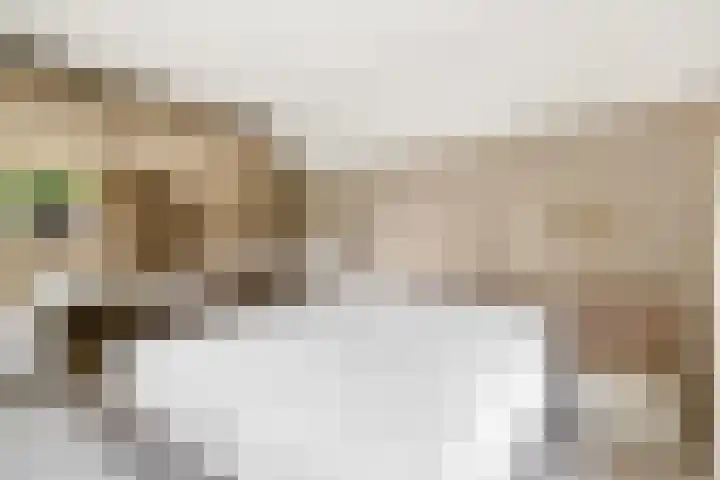 Diekjansweg 120 Rijssen thumbnail 25